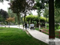 西北大學師范學院桃園校區(qū)2023年網站網址