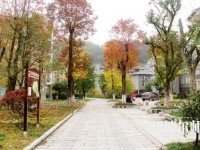 吉首師范大學(xué)張家界學(xué)院2023年學(xué)費(fèi)、收費(fèi)多少