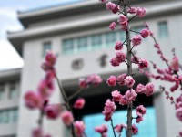 延安大學(xué)師范學(xué)院楊家?guī)X校區(qū)2023年學(xué)費、收費多少