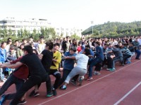 廈門(mén)城市師范職業(yè)學(xué)院學(xué)院2023年學(xué)費(fèi)、收費(fèi)多少