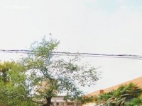 西安職業(yè)中等幼師專業(yè)學(xué)校2023年報(bào)名條件、招生要求、招生對(duì)象
