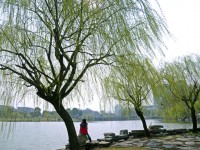 金華職業(yè)技術(shù)師范學(xué)院2023年學(xué)費、收費多少