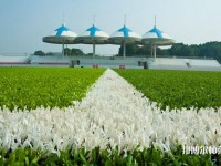 湖南民族職業(yè)師范學院2023年招生辦聯(lián)系電話