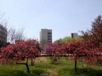 漯河職業(yè)技術(shù)師范學(xué)院2023年學(xué)費(fèi)、收費(fèi)多少