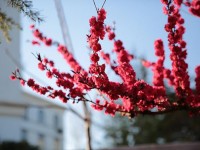 山東威海藝術(shù)幼兒師范學校2023年學費、收費多少