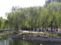 新鄉(xiāng)工程師范學(xué)院2023年學(xué)費(fèi)、收費(fèi)多少