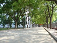 江漢藝術職業(yè)師范學院歷年錄取分數(shù)線