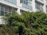 貴州貴陽中山科技幼兒師范學校2023年學費、收費多少