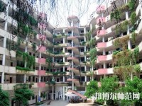 合江少岷幼兒師范職業(yè)技術(shù)學校2023年怎么樣、好不好