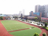 樂山陽光中等幼兒師范職業(yè)技術學校2023年招生錄取分數(shù)線