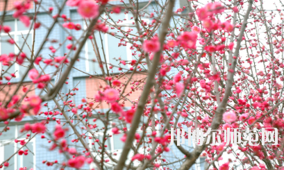 德陽通用電子科技幼兒師范學(xué)校2020年有哪些專業(yè)