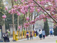 石家莊法商幼兒師范中等專業(yè)學(xué)校2023年學(xué)費、收費多少
