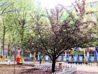石家莊法商幼兒師范中等專業(yè)學(xué)校2023年報名條件、招生要求、招生對象