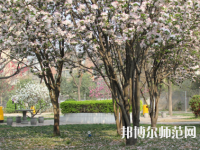 鄭州2020年哪個學校有幼師學校