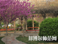 鄭州2020年幼師學(xué)?？梢詫W(xué)什么