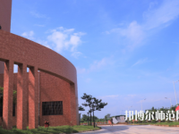 湛江2020年設(shè)有幼師學校的公辦大專學校