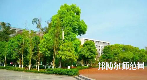 重慶市九龍坡幼師職業(yè)教育中心怎么樣、好不好。