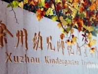 徐州幼兒師范高等?？茖W(xué)校有哪些專業(yè)