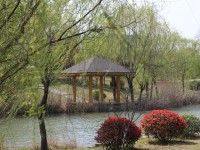 應(yīng)天職業(yè)技術(shù)師范學院2023年招生代碼