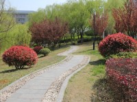 應(yīng)天職業(yè)技術(shù)師范學院是2023年幾專