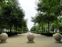 廣西現(xiàn)代職業(yè)技術師范學院2023年報名條件、招生要求、招生對象
