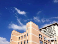 東華大學(xué)師范學(xué)院延安路校區(qū)2023年報(bào)名條件、招生要求、招生對象