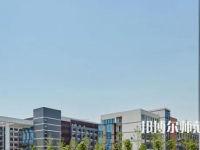 鄭州信息科技職業(yè)師范學(xué)院2023年有哪些專(zhuān)業(yè)
