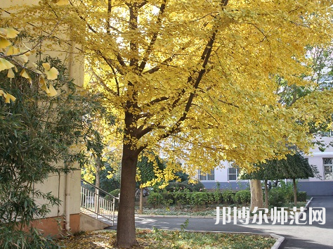 北京京北職業(yè)師范技術(shù)學(xué)院2023年報(bào)名條件、招生要求、招生對(duì)象