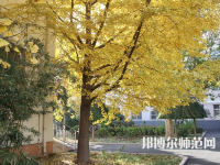 北京京北職業(yè)師范技術(shù)學(xué)院2023年報(bào)名條件、招生要求、招生對(duì)象
