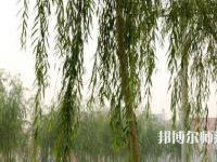 鄭州大學(xué)師范學(xué)院主校區(qū)2023年有哪些專(zhuān)業(yè)