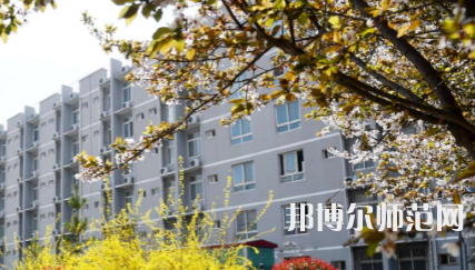 周口職業(yè)技術(shù)師范學(xué)院文昌校區(qū)2023年怎么樣、好不好
