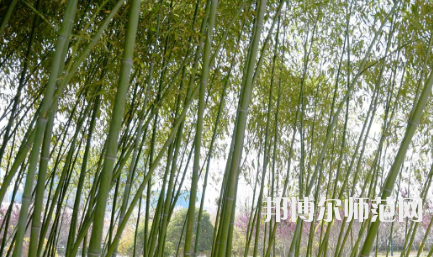 周口職業(yè)技術(shù)師范學(xué)院開元校區(qū)2023年報(bào)名條件、招生要求、招生對象