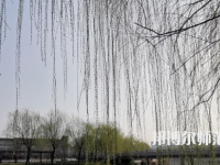 鶴壁職業(yè)技術(shù)師范學(xué)院2023年怎么樣、好不好