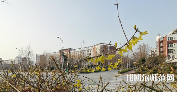 鶴壁職業(yè)技術(shù)師范學(xué)院2023年報(bào)名條件、招生要求、招生對(duì)象