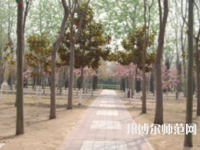 濮陽(yáng)職業(yè)技術(shù)師范學(xué)院2023年報(bào)名條件、招生要求、招生對(duì)象