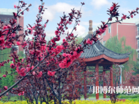 駐馬店師范職業(yè)技術(shù)學(xué)院2023年報(bào)名條件、招生要求、招生對(duì)象