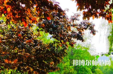 河南大學師范學院金明校區(qū)2023年怎么樣、好不好