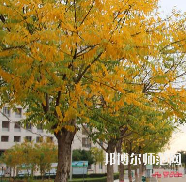 榆林職業(yè)技術(shù)師范學(xué)院2023年怎么樣、好不好