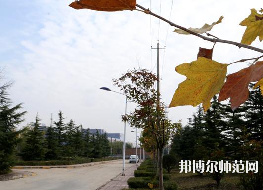 陜西職業(yè)技術師范學院2023年報名條件、招生要求、招生對象 