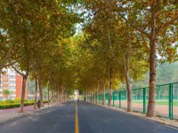 聊城師范大學(xué)東昌學(xué)院2023年報名條件、招生要求、招生對象