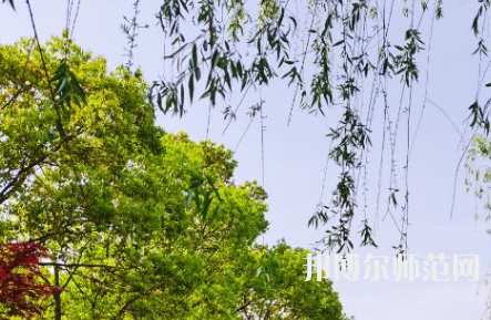 南陽(yáng)理工師范學(xué)院2023年報(bào)名條件、招生要求、招生對(duì)象