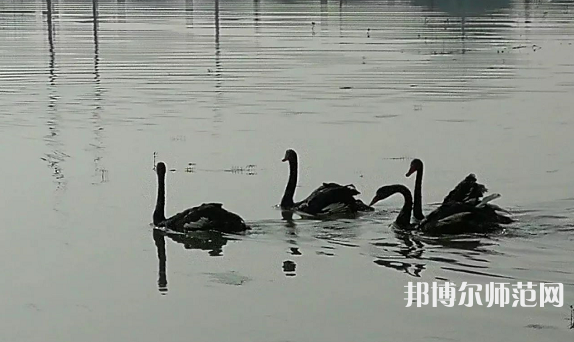 浙江師范大學(xué)行知學(xué)院蘭溪校區(qū)2023年怎么樣、好不好