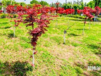 漢中職業(yè)技術(shù)師范學(xué)院2023年怎么樣、好不好