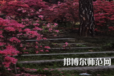 信陽師范學(xué)院華銳學(xué)院2023年報(bào)名條件、招生要求、招生對象