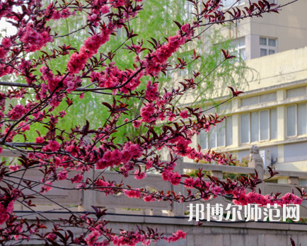 蘇州科技師范大學(xué)天平學(xué)院2023年報(bào)名條件、招生要求、招生對(duì)象