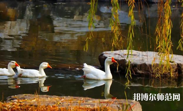 山東財(cái)經(jīng)師范大學(xué)萊蕪校區(qū)2023年報(bào)名條件、招生要求、招生對(duì)象 