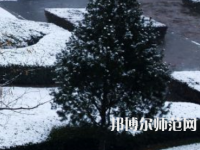 焦作師范高等專(zhuān)科學(xué)校2023年報(bào)名條件、招生要求、招生對(duì)象