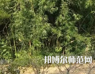 湖南理工師范學院南湖學院2023年怎么樣、好不好