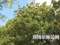 湖南理工師范學(xué)院南湖學(xué)院2023年怎么樣、好不好