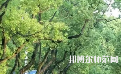 湖南理工師范學(xué)院南湖學(xué)院2023年報(bào)名條件、招生要求、招生對(duì)象